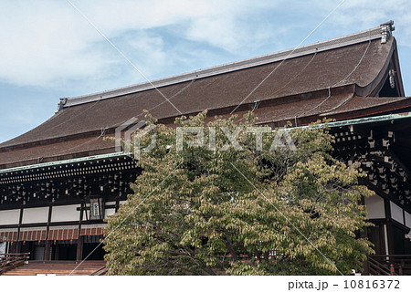 京都御所 紫宸殿 左近桜 京都御所 紫宸殿 左近桜 10816372