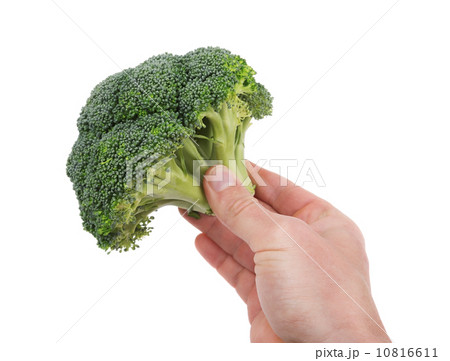 Fresh broccoli in hand for cooking. On a white background. 10816611