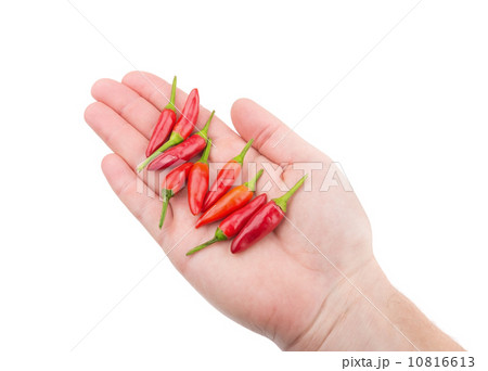 Paprika red pepper in hand for cooking. For spices. 10816613