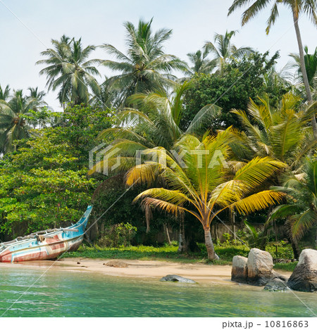 lake, tropical palms and  boat 10816863