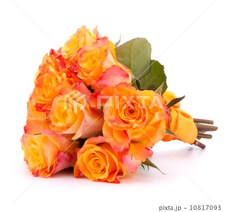 Yellow rose flower bouquet isolated on white background cutout Yellow rose flower bouquet isolated on white background cutout 10817093