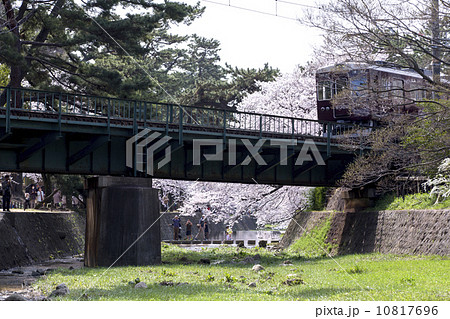 兵庫県 西宮市 夙川公園 桜と阪急電車 兵庫県 西宮市 夙川公園 桜と阪急電車 10817696