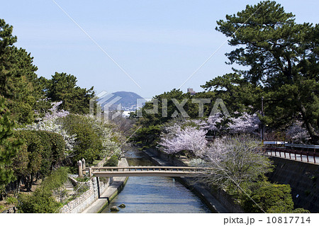 兵庫県　西宮市　夙川公園　甲山 10817714