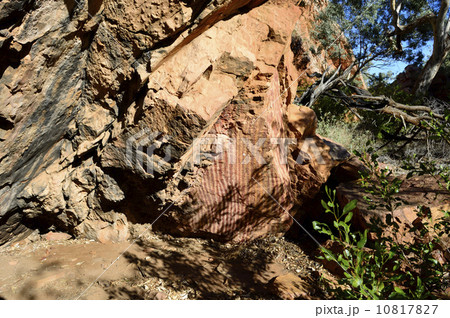 91157　アリススプリングス　エミリーギャップ 10817827