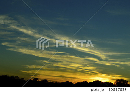 91164　アリススプリングス　 10817833