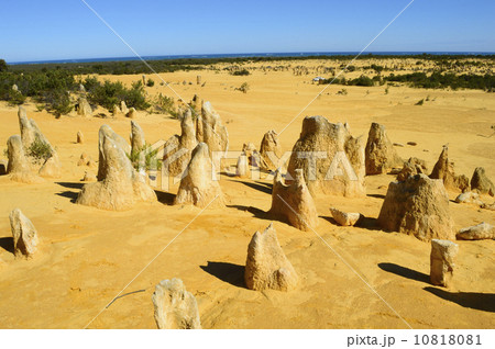 91291　パース　ピナクルズ 10818081