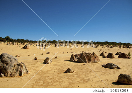 91303　パース　ピナクルズ 10818093