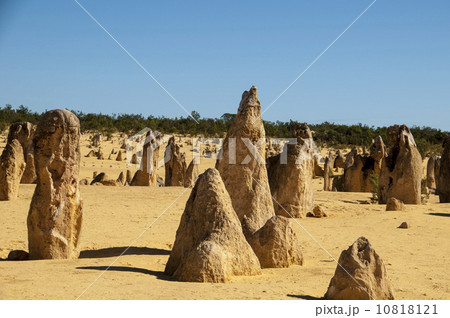 91308　パース　ピナクルズ 10818121