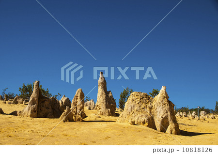 91313　パース　ピナクルズ 10818126