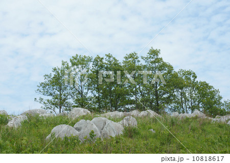 秋吉台・5月 秋吉台・5月 10818617
