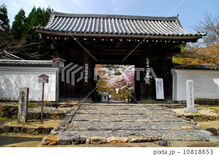 京都二尊院の総門風景 10818653