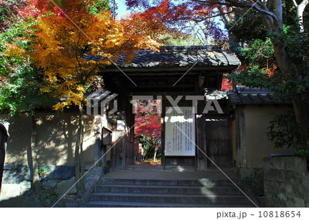 京都蓮華寺の総門風景 10818654