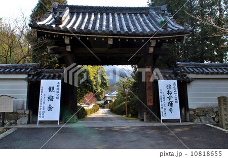 京都髄心院の総門風景 10818655