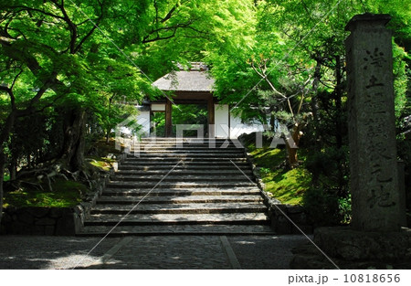 京都安楽寺の総門風景 10818656