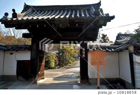 京都養源院の総門風景 京都養源院の総門風景 10818658