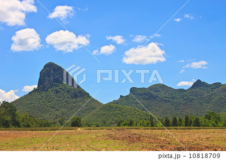 sugar cane field near a mountain and blue sky sugar cane field near a mountain and blue sky 10818709