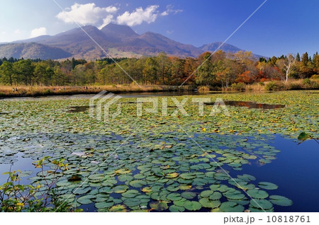 秋の妙高高原 10818761