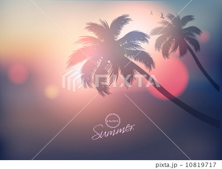 Paradise Island-Palm Tree Sunset  10819717