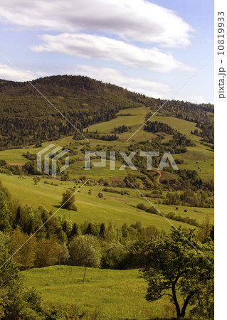 Summer mountain landscape in the Alps Summer mountain landscape in the Alps 10819933