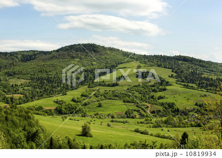 Summer mountain landscape in the Alps 10819934