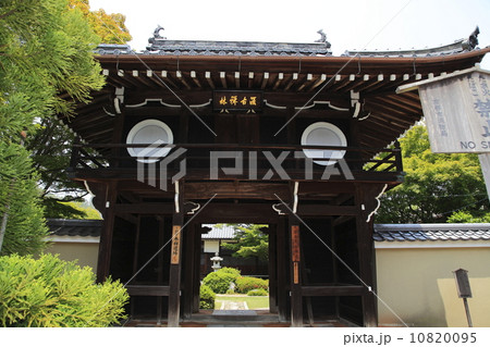 源光庵山門 10820095