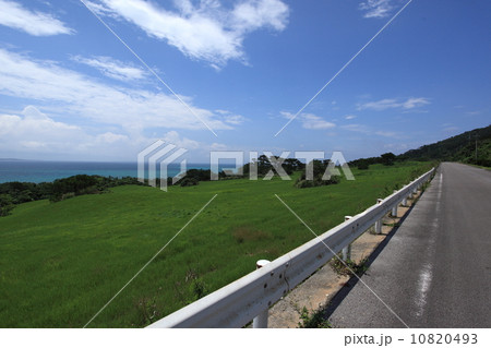 自然　風景　海に続く牧草地。この景色、石垣島でみられます② 10820493