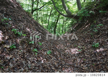 一乗谷山城 10820814