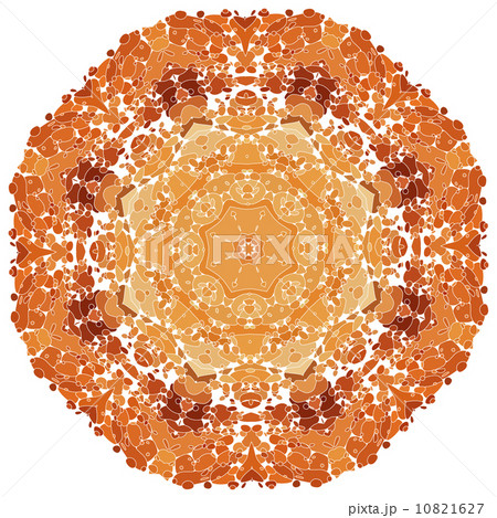 Lace floral colorful ethnic ornament 10821627