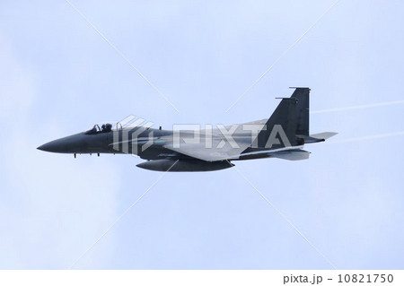 Ｆ１５戦闘機 10821750