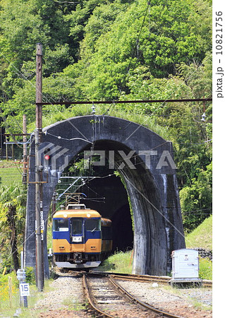 新緑の大井川鉄道 新緑の大井川鉄道 10821756