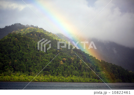 虹と熱帯雨林 10822461