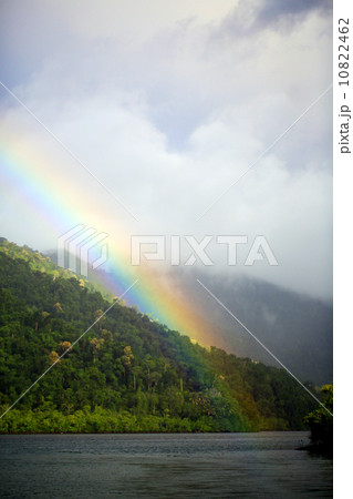 虹と熱帯雨林 10822462