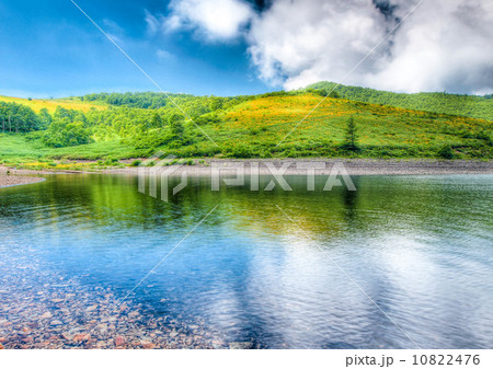 野反湖とキスゲ 野反湖とキスゲ 10822476