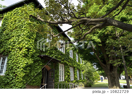 キャンパス キャンパス 10822729