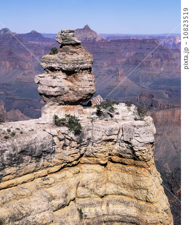 ダック・オン・ザ・ロック ダック・オン・ザ・ロック 10823519