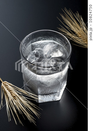 焼酎 焼酎 10824750