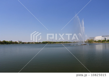久喜菖蒲公園の風景 10825015