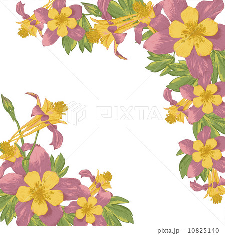 Frame with white blooming flowers 10825140