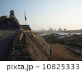 カルタヘナ 10825333