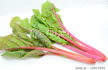 カラフル野菜 10825892