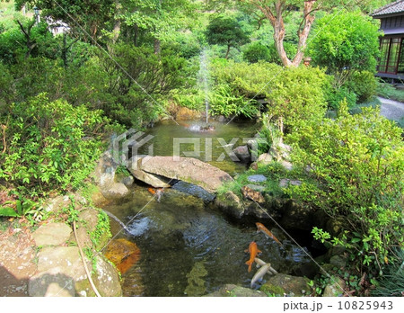 台湾　新北市・九份地区　金瓜石（きんかせき）　日本太子（昭和天皇）の太子賓館　太子賓館庭園 10825943