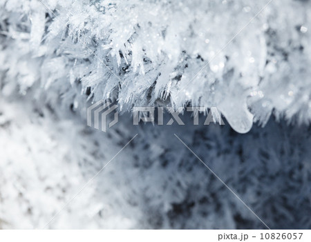 Abstract nature winter decoration Abstract nature winter decoration 10826057