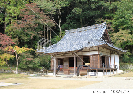 色づき始めた楓と正暦寺の本堂 10826213