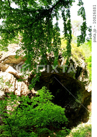 奥久慈矢祭山「新緑と神秘的な洞窟」 10826881