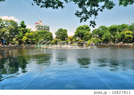 清水池公園 10827811
