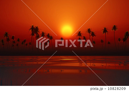 dramatic orange sunset 10828209