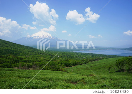 5月 風景・富士山519新緑の山中湖村平野 5月 風景・富士山519新緑の山中湖村平野 10828480