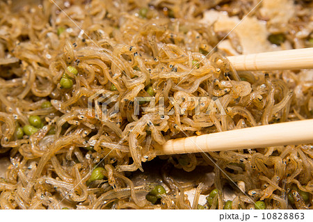 ちりめん山椒 ちりめん山椒 10828863