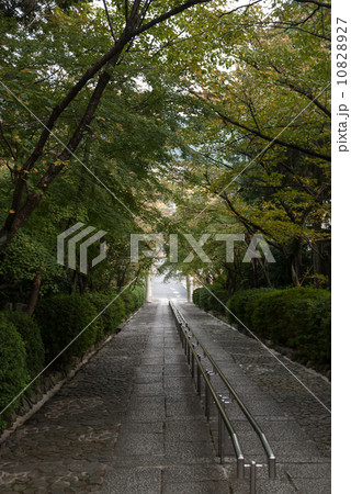 宗忠神社 10828927