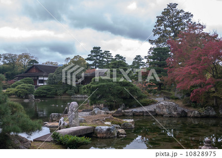 桂離宮 池泉回遊式庭園 桂離宮 池泉回遊式庭園 10828975